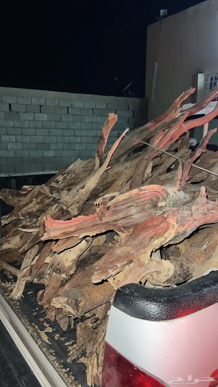 حطب سمر أفريقي مستورد 1