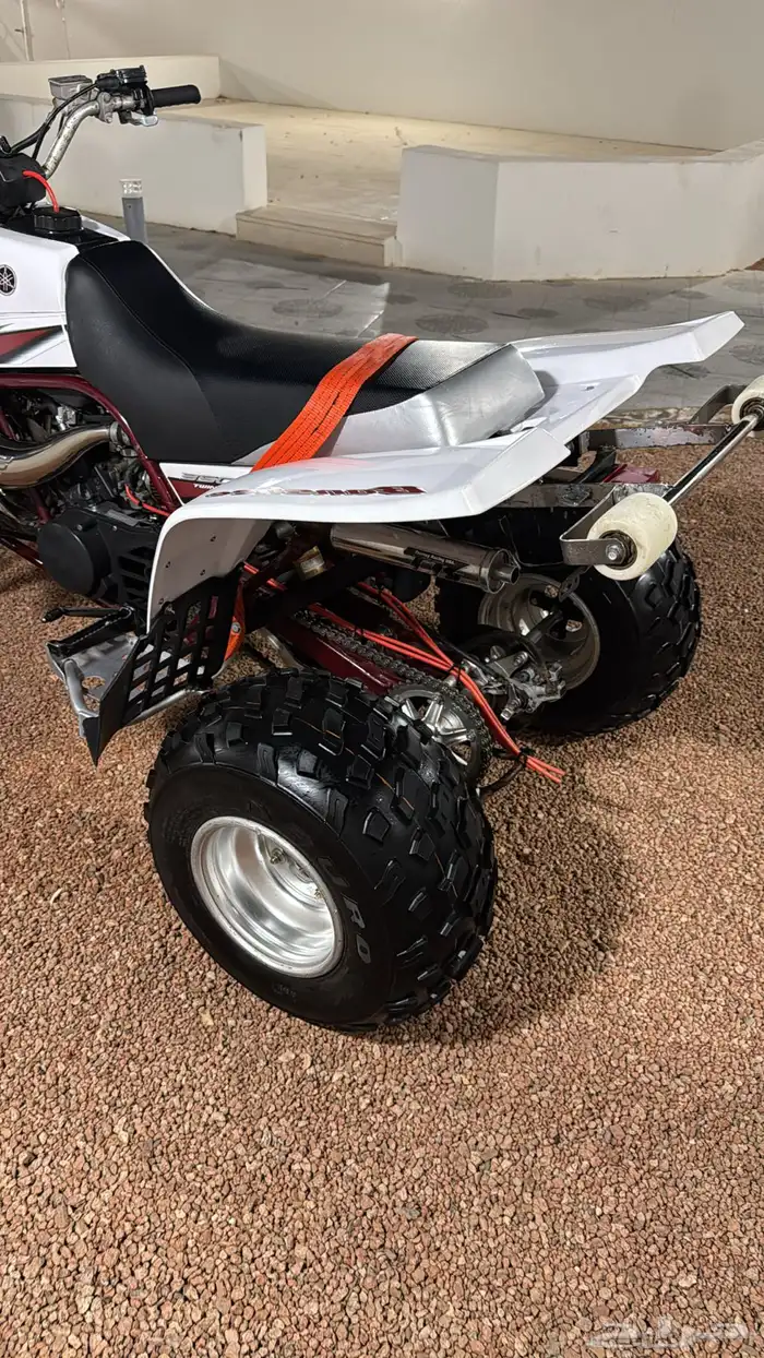 دباب بانشي 4