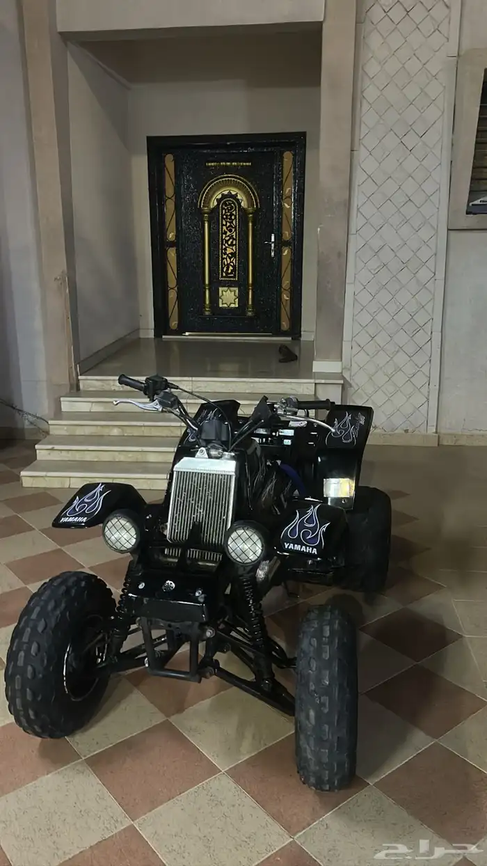 بانشي للبيع 0