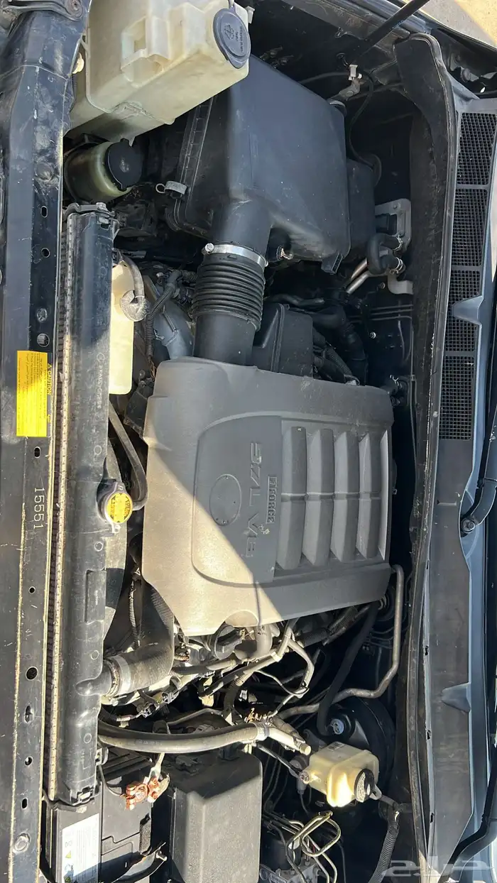 سلام عليكم سيكاويا البيع 31