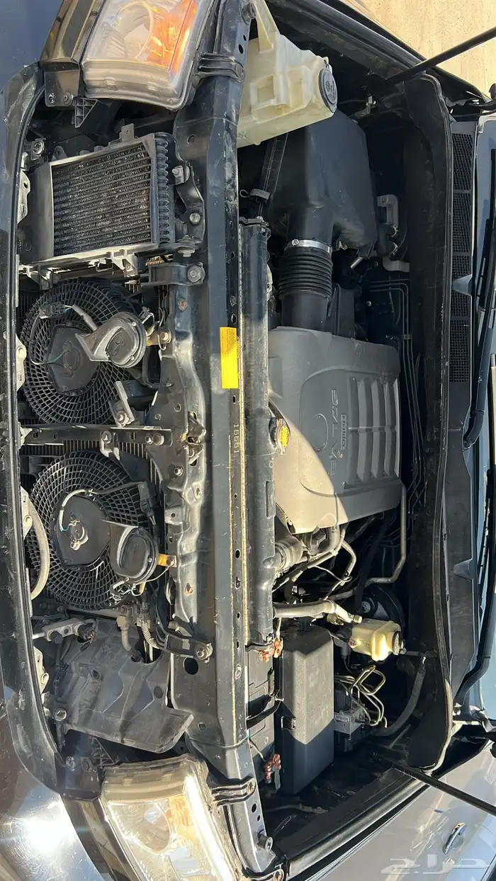 سلام عليكم سيكاويا البيع 30