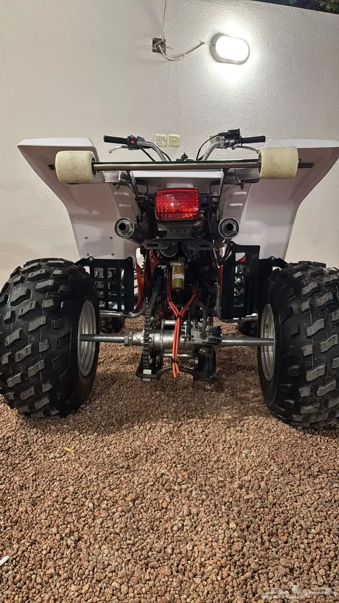 دباب بانشي 6