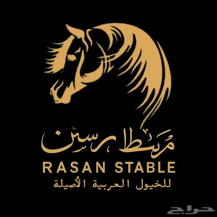 اسطبل رسن - ايواء - عسف خيل - وإعادة عسف خيل 0