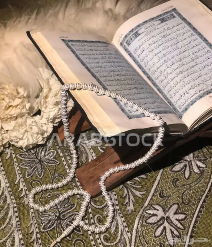 معلمة قران عن بعد 0