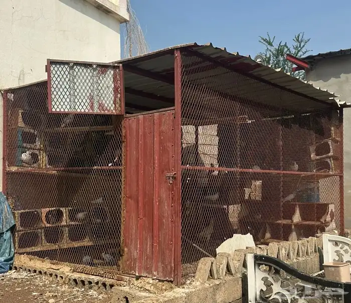 قفص 3في 4 البيع شبك مع الحمام 1