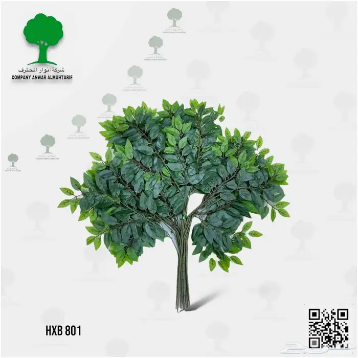 تنسيق شجر أي مناطق 5