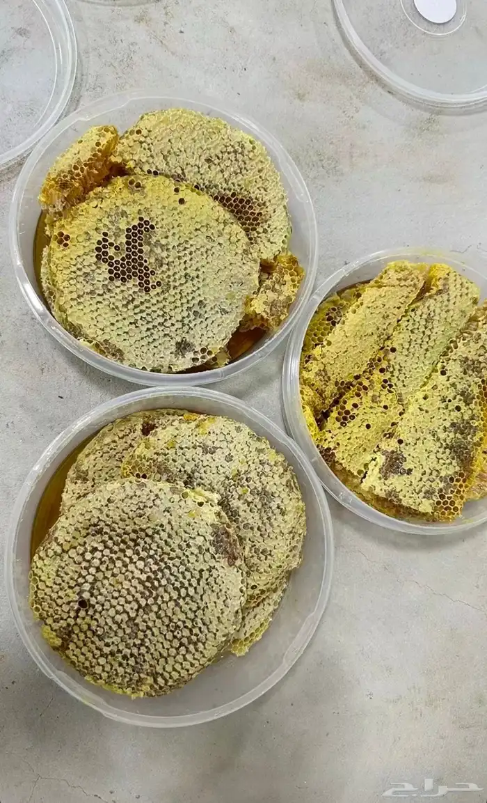 عسل سدر شمع 0