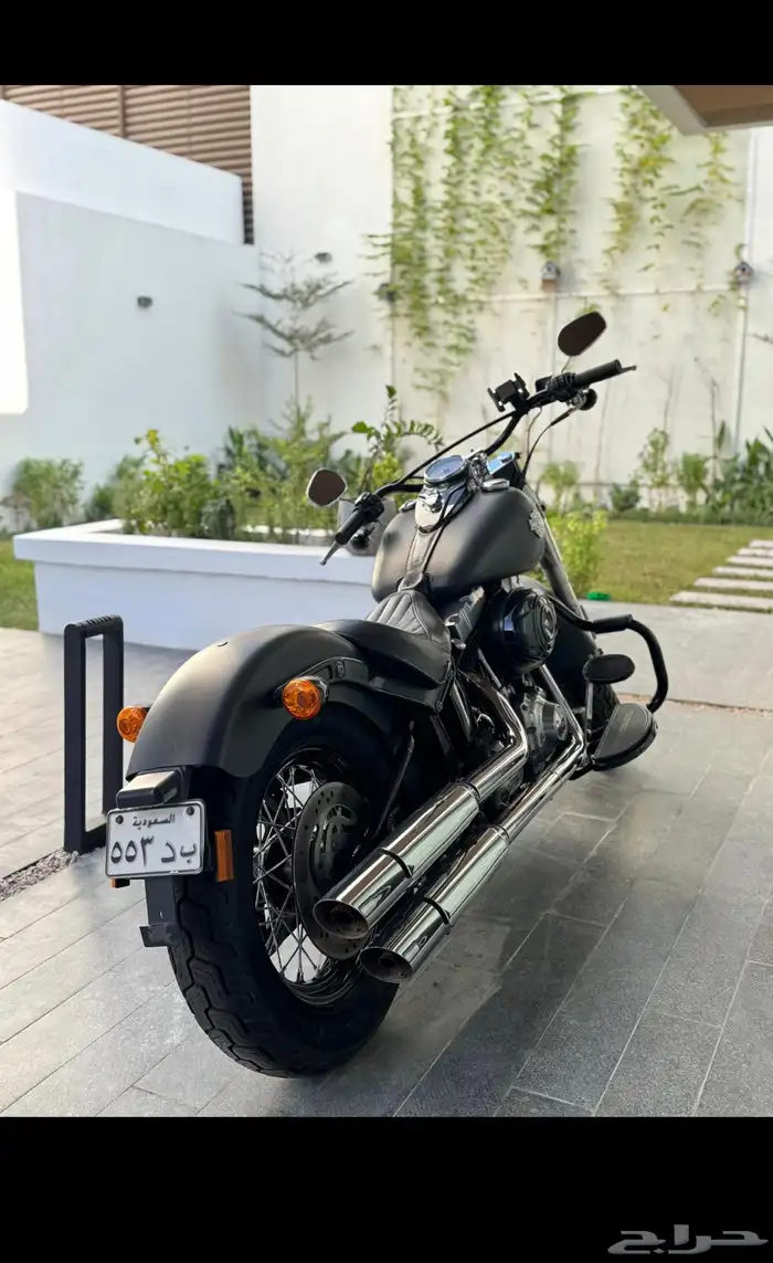 Harley-Davidson Softail Slim 103 2