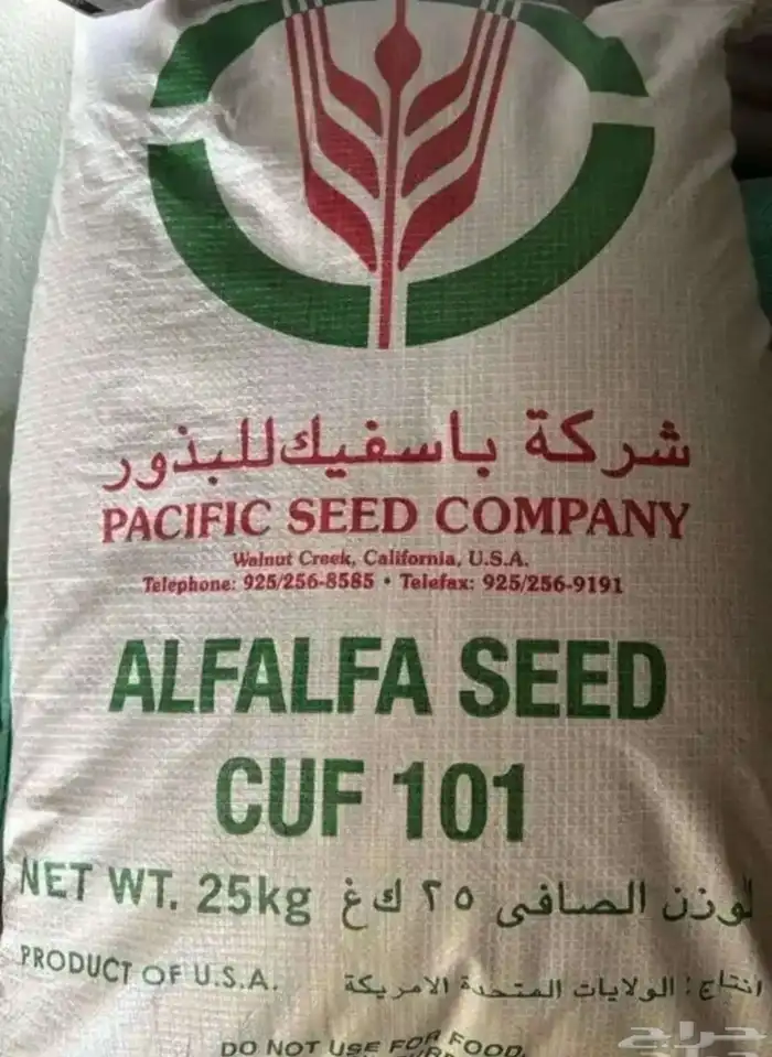 بذور كاف 101 0