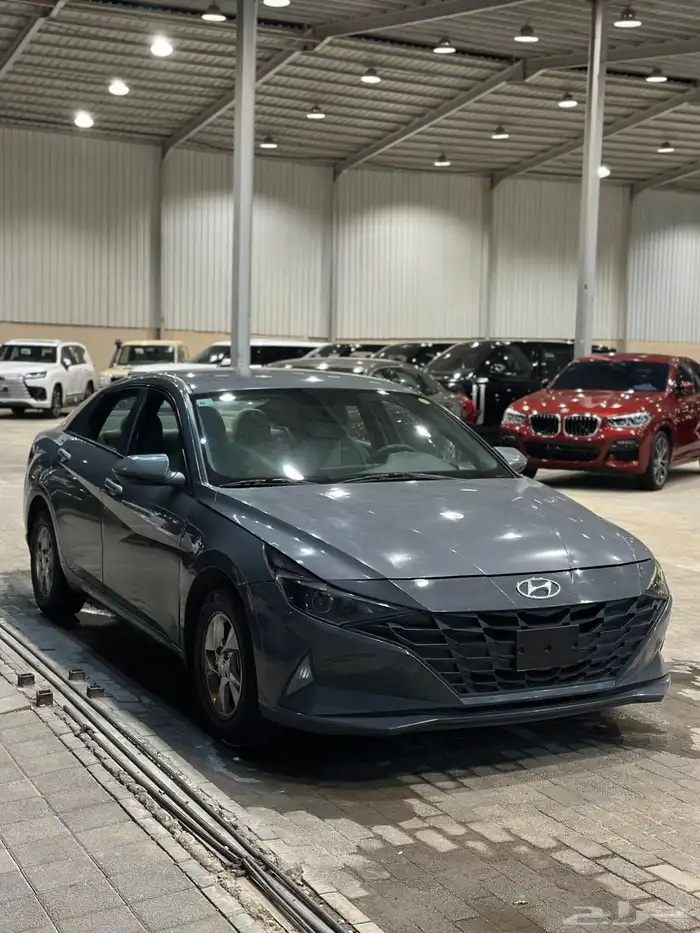 الانترا 2022 4