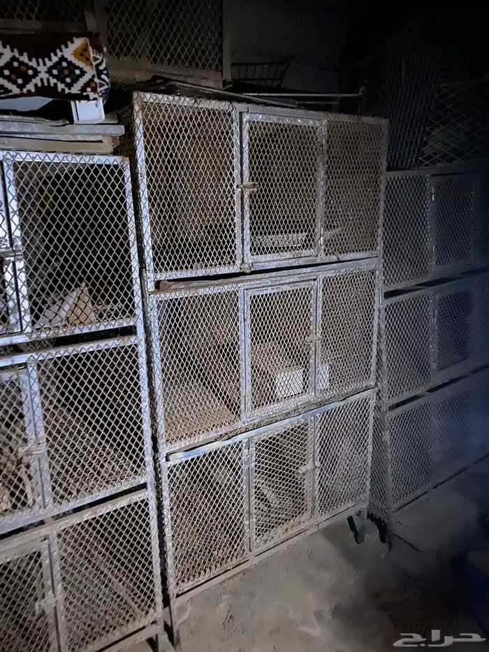 محاكر حديد 1