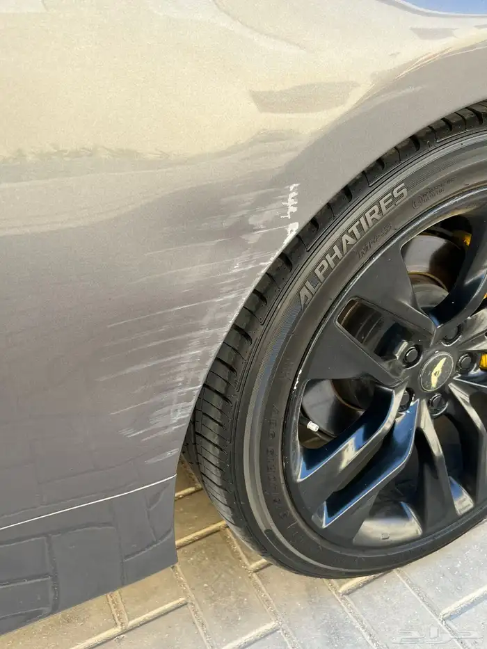 جنسس كوبيه 2013 10