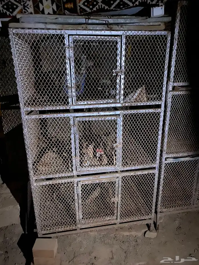 محاكر حديد 0