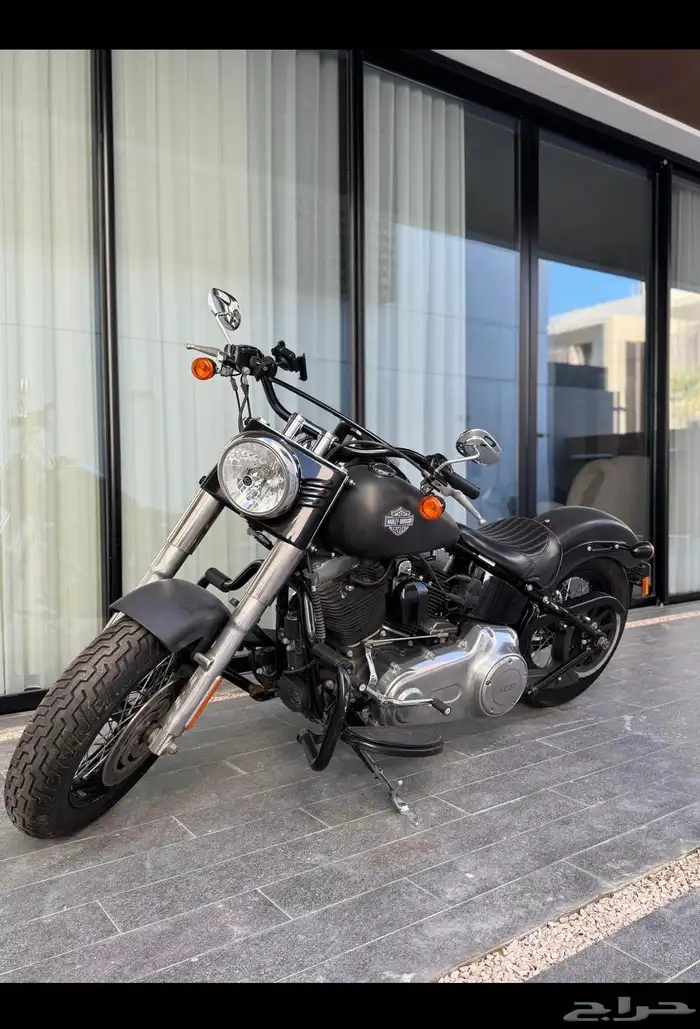 Harley-Davidson Softail Slim 103 0