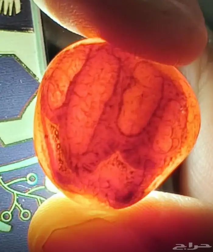 حجاره عقيق يماني دموي مصور الفظ جلاله قديمه 0