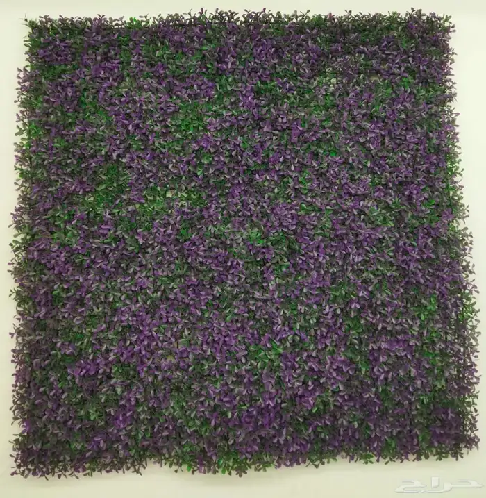 عشب صناعي جداري وأرضي. توريد وتركيب وخامات عاليه الجوده 8