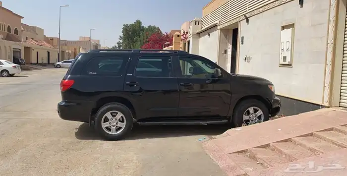 سكويا للبيع 12