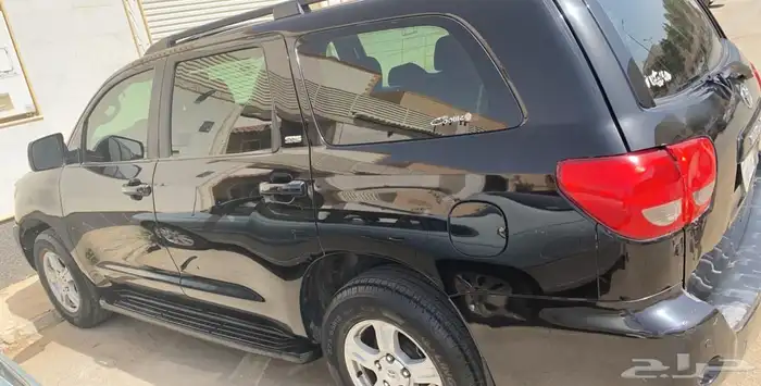 سكويا للبيع 10