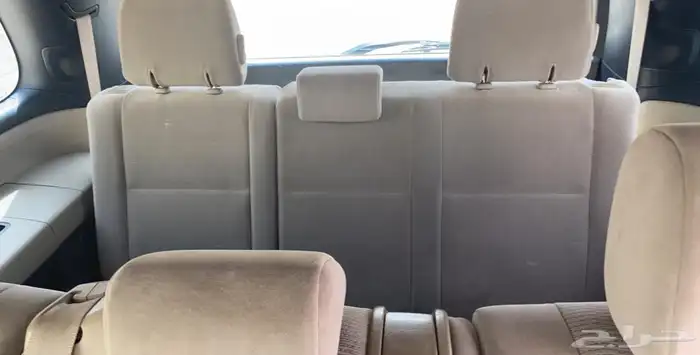 سكويا للبيع 6