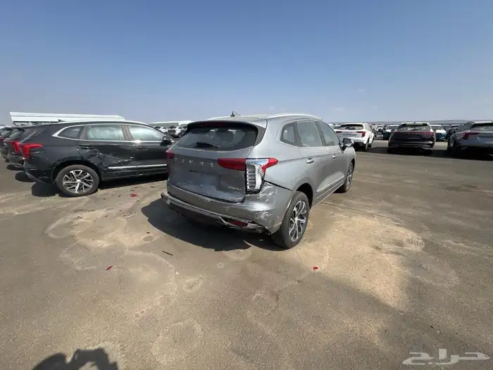 جوليان هافال فل اصفار مصدوم 0