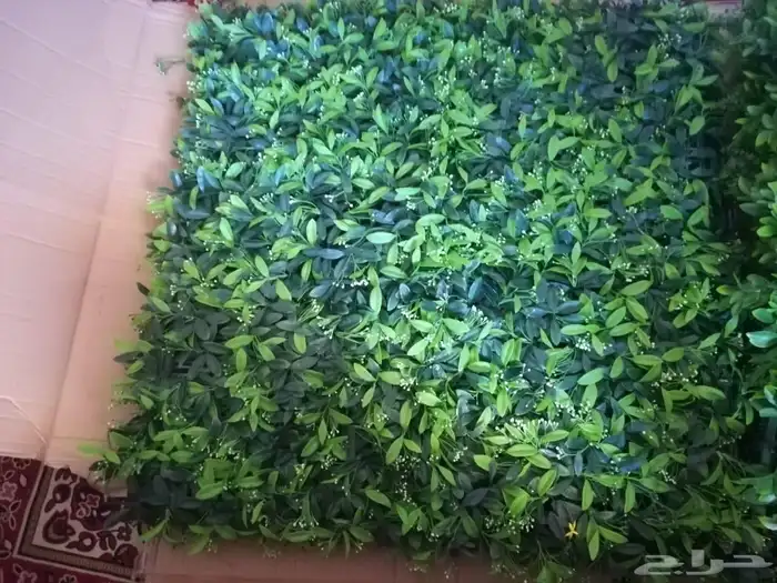 عشب صناعي جداري وأرضي. توريد وتركيب وخامات عاليه الجوده 19