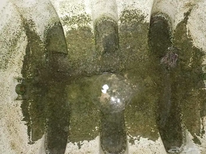 تنظيف خزانات ماء 2