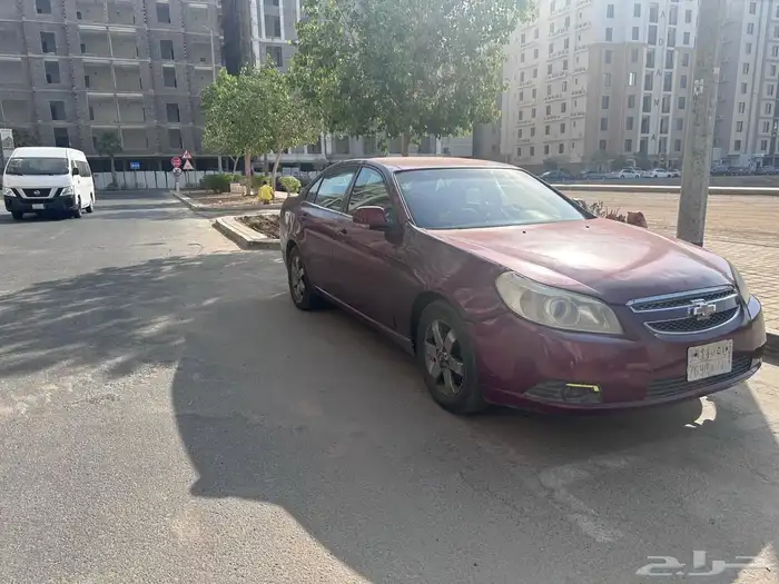 ابيكا للبيع 3