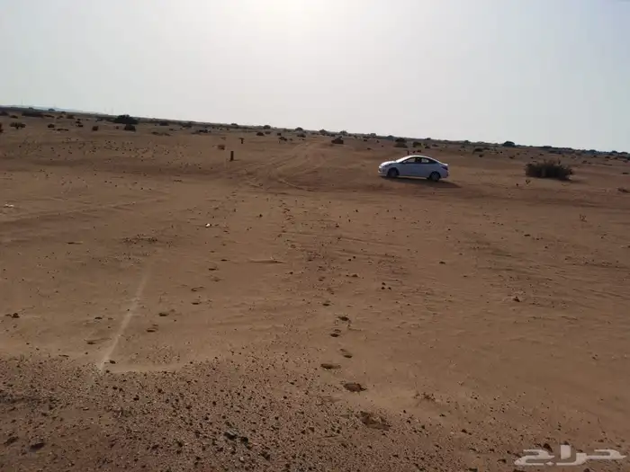 للبيع أرض في شمال جدة طيبة الفرعية الوداد بسعر مناسب 0