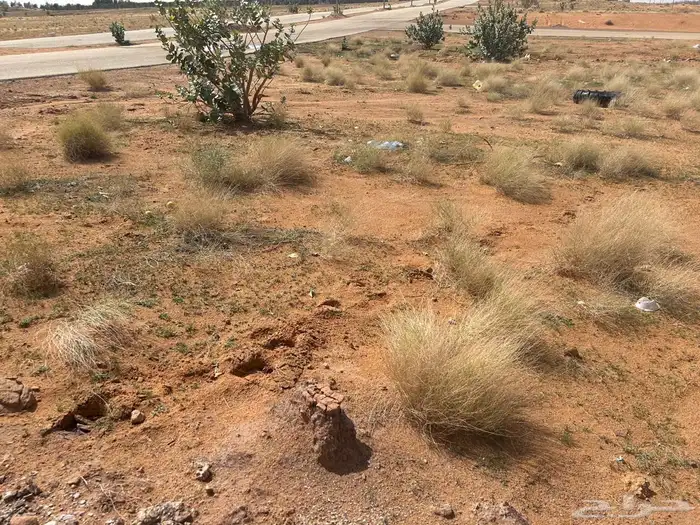 أرض للبيع في الرياض محافظة الجافورة 4