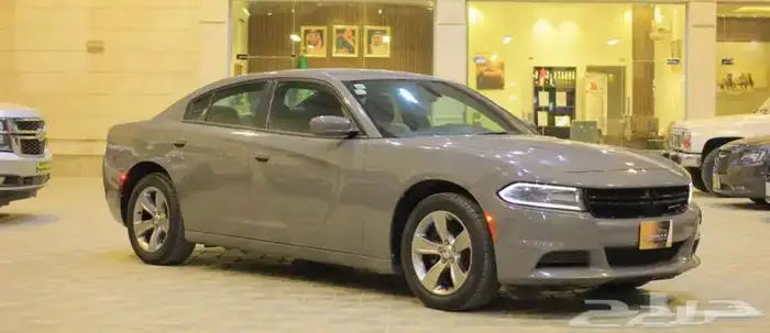 كبوت تشارجر للبيع (وكاله ) سمنتي 0