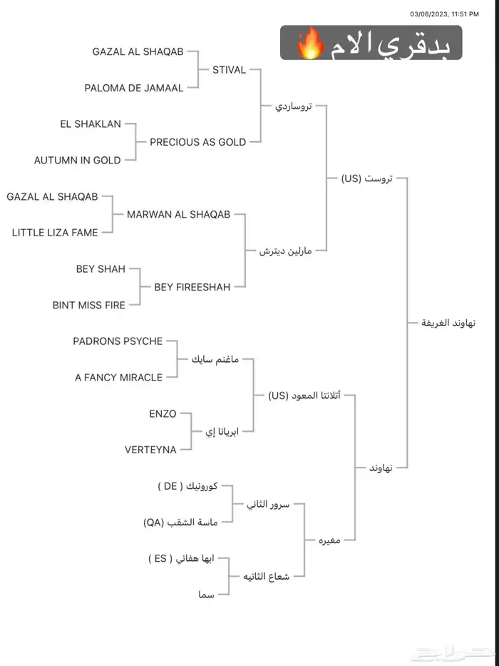 مهره واهو بنت البطل راج المكتوب 8