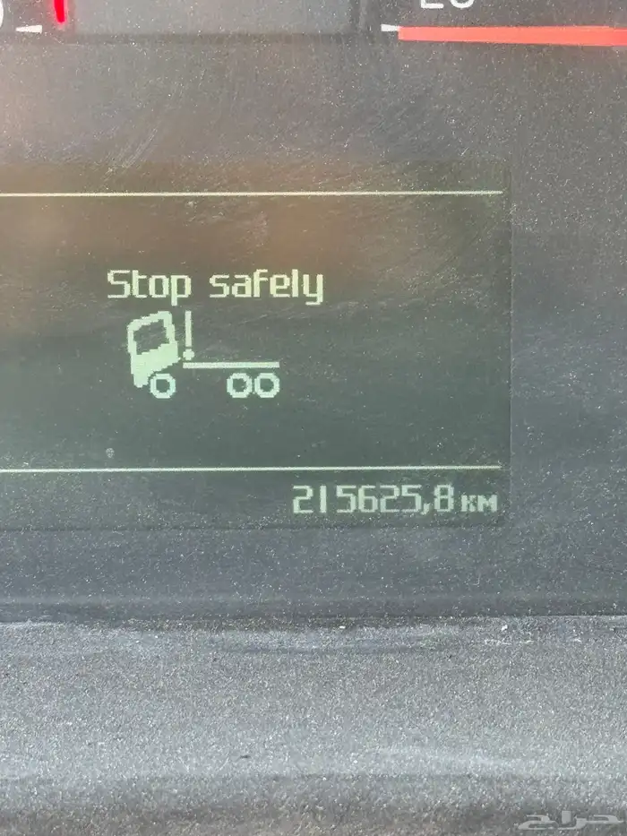 فلفو الزاهد 6