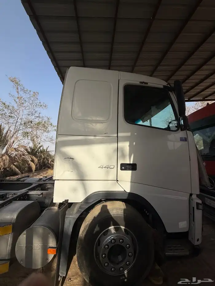 راس فلفو زاهد 1