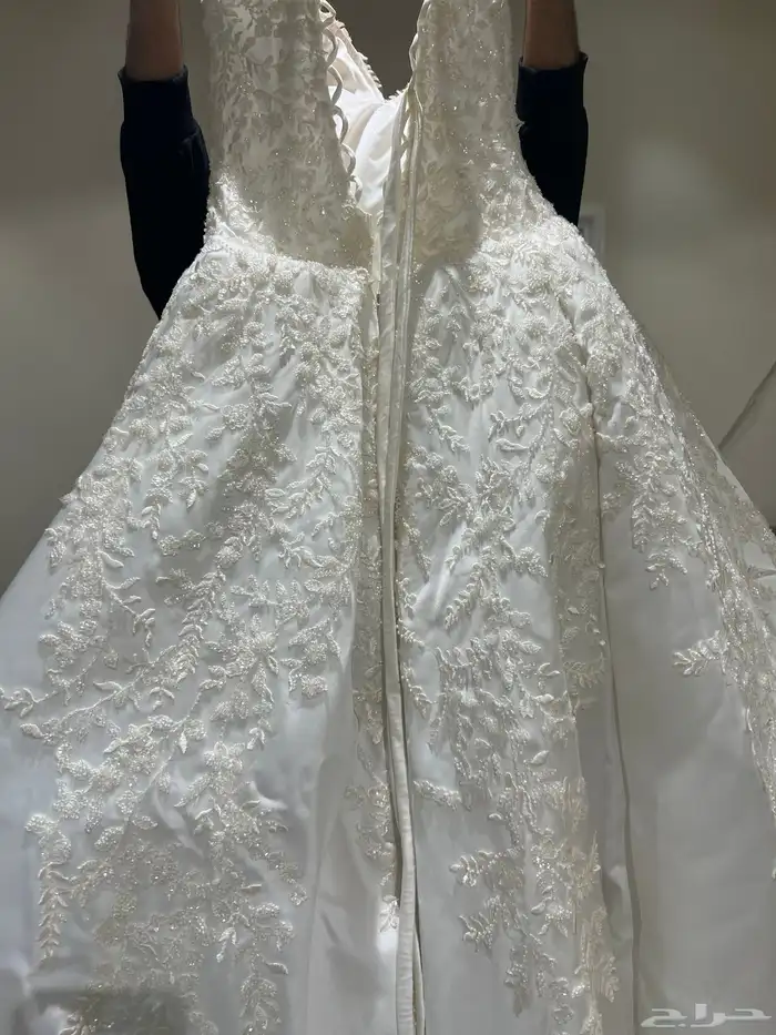 القصيم رياض الخبراء 1