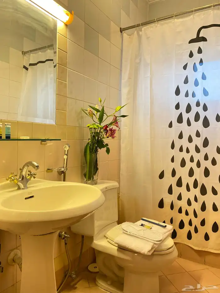 شقق مفروشة شهري استديو غرفة وحمام وغرفة وصالة 39