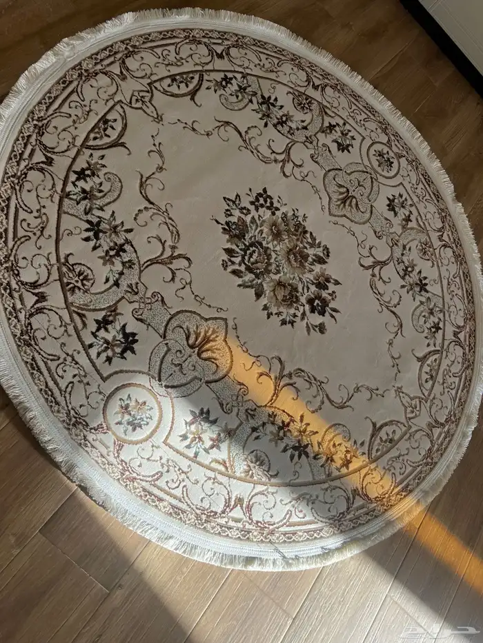 زولية جديدة 1