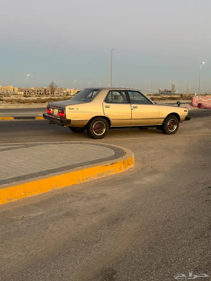 سكايلاين 79 3