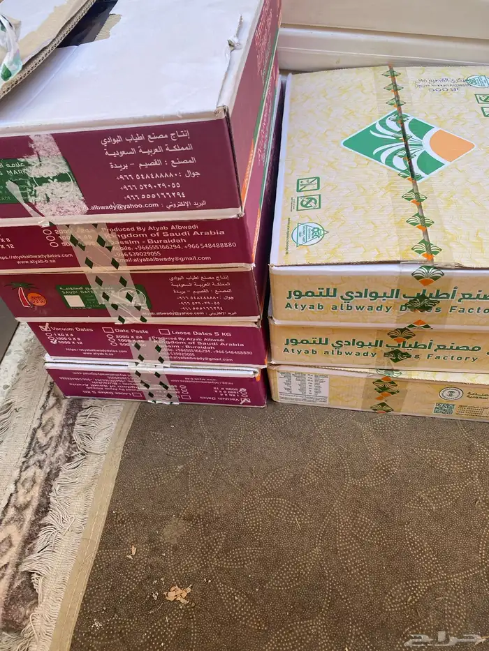 تمر انتاج جديد 1