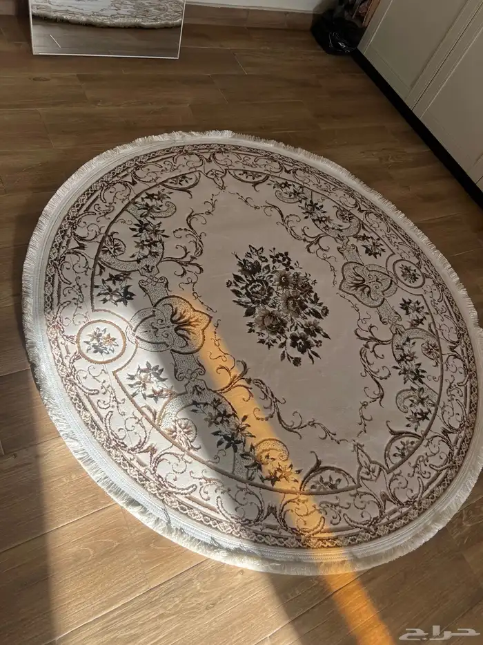 زولية جديدة 2