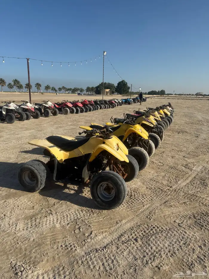 تأجير دبابات مع التوصيل 1