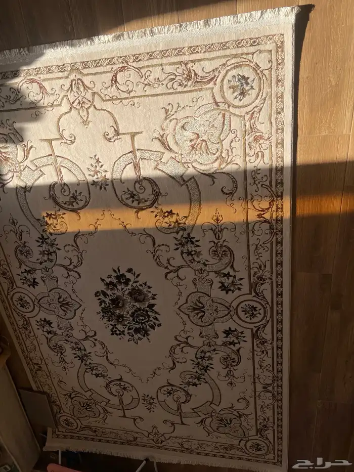 زولية جديدة 2