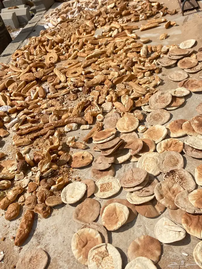 خبز ناشف للبيع 20 كيس مليانه فل 0