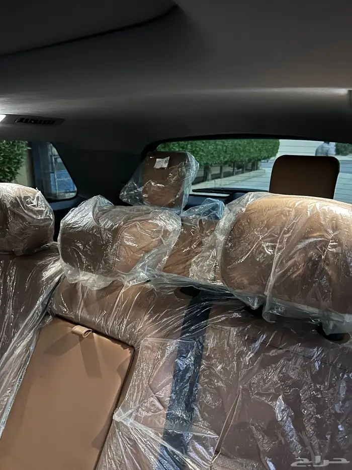 شانجان 2024 25