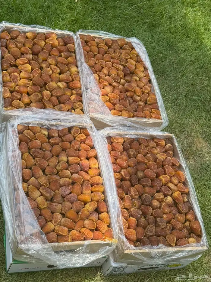 مفتل جالكسي 4