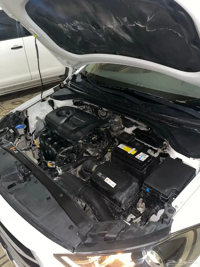 النترا 2017 ستاندر 1600 17