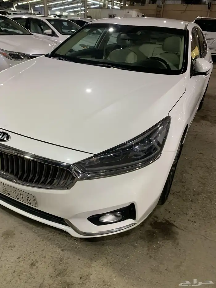 كادنزا للبيع 3