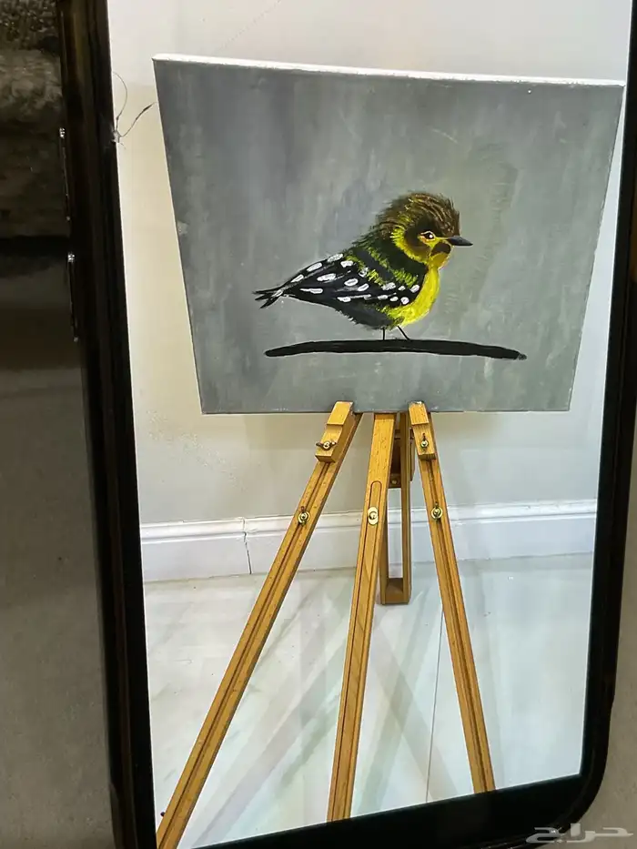 رسمات فنيه منوعه وملونه 12