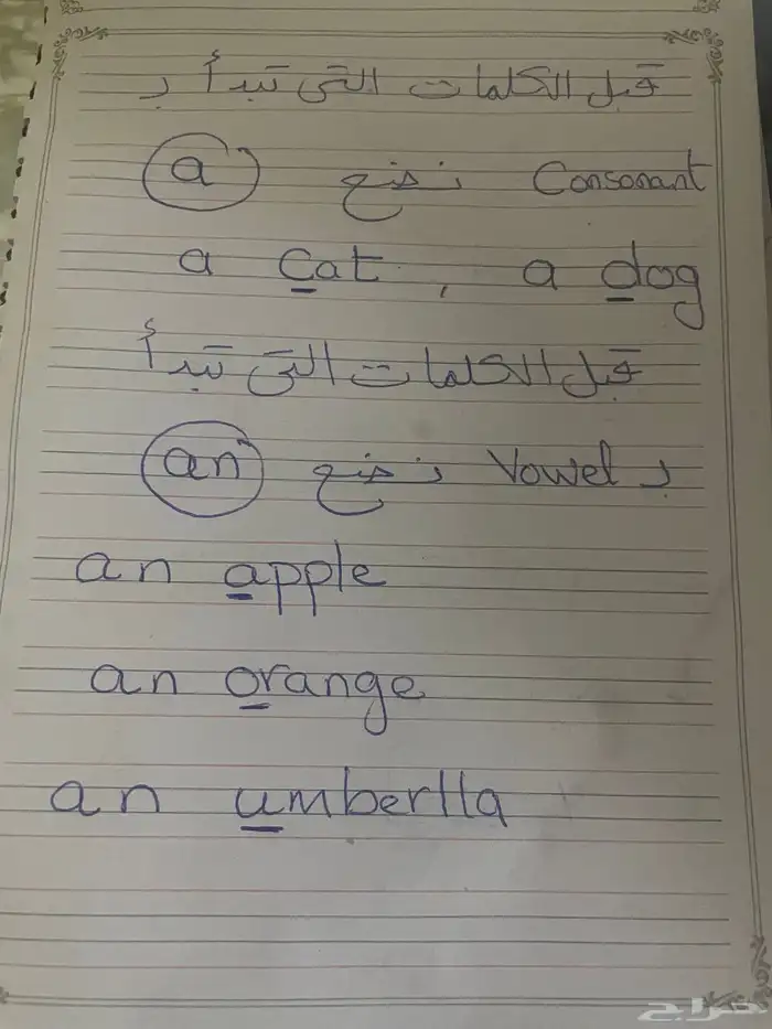 معلمة انجليزي جامعه و ثانوي و تأسيس عن بعد و حضور 1