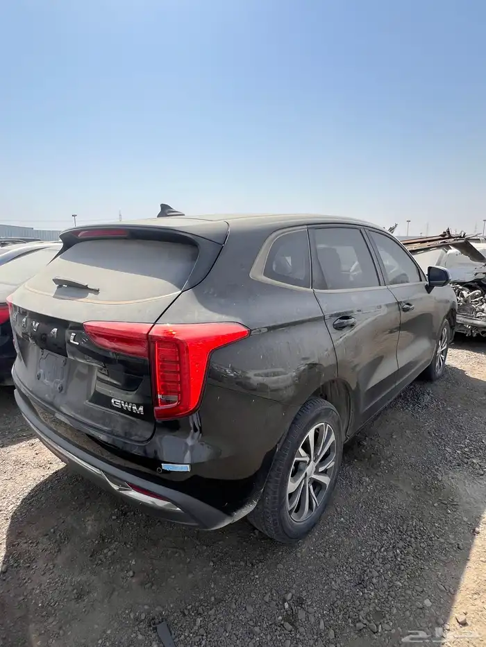 2023 للبيع هافال جوليان 8