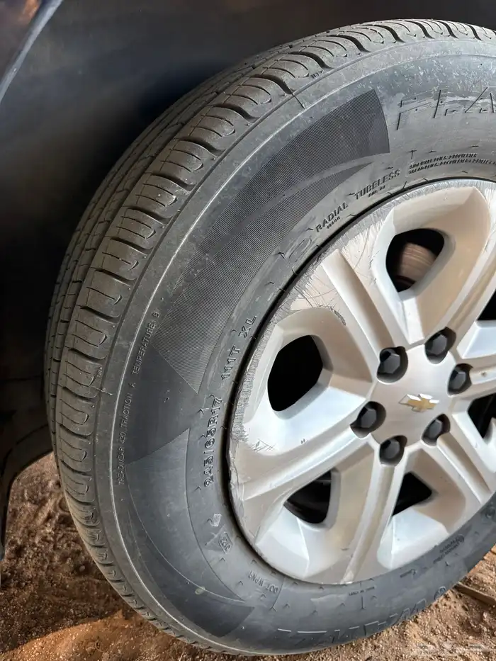 ترلفيرس 2011 5